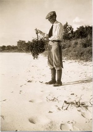 Dorsett, Palemon Howard