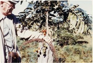 Eames, Arthur Johnson