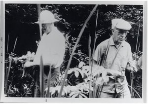 Eames, Arthur Johnson