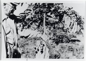 Eames, Arthur Johnson