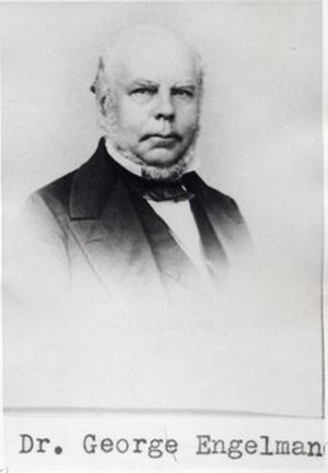Engelmann, George Theodor