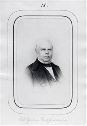 Engelmann, George Theodor