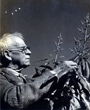 Fairchild, David Grandison