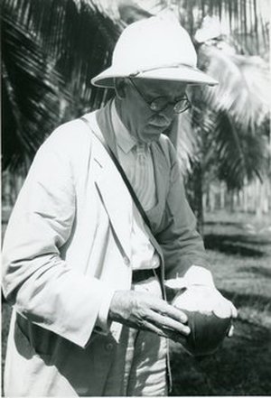 Fairchild, David Grandison