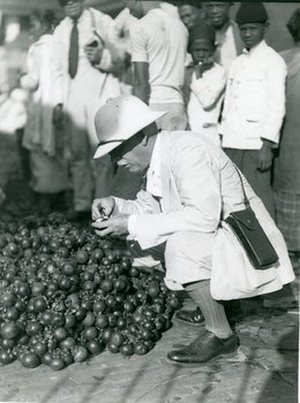 Fairchild, David Grandison