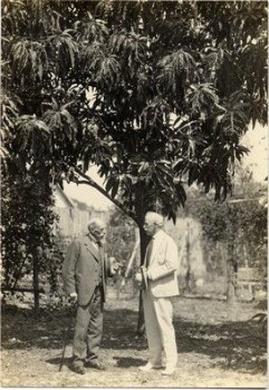 Fairchild, David Grandison