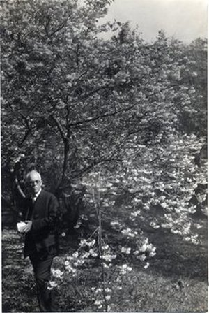 Fairchild, David Grandison