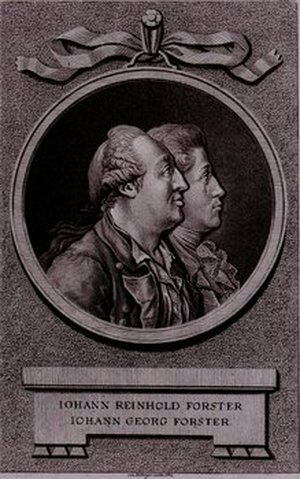 Forster, Johann Reinhold