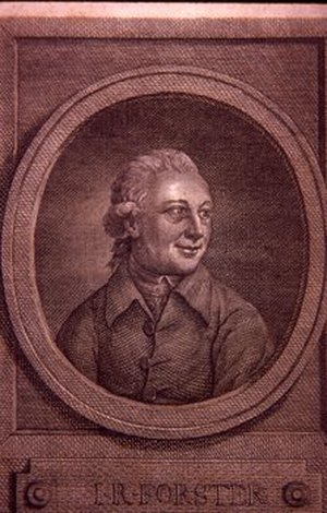 Forster, Johann Reinhold
