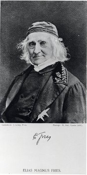 Fries, Elias Magnus