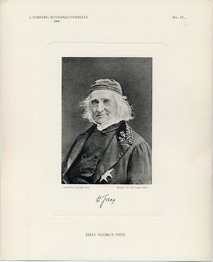 Fries, Elias Magnus