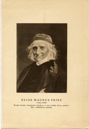 Fries, Elias Magnus