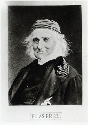 Fries, Elias Magnus