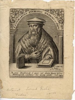 Fuchs, Leonhard