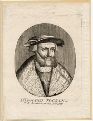 Fuchs, Leonhart