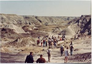 PHOTO WITHOUT IDENTIFIED INDIVIDUALS - Dinosaur Provincial Park. International Organization for Paleobotany Field Trip, Edmonton, Alberta, 1984