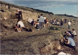 PHOTO WITHOUT IDENTIFIED INDIVIDUALS - Joffre Bridge Collecting Locality. International Organization for Paleobotany Field Trip, Edmonton, Alberta, 1984
