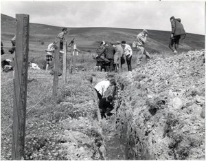 PHOTO WITHOUT IDENTIFIED INDIVIDUALS - International Botanical Congress field trip, Rhynie, Scotland, 1964. Photo from Henry Andrews collection.,