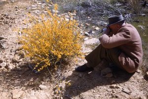 Gardner, Charles Austin