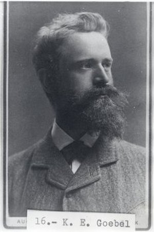 Goebel, Karl Immanuel Eberhard von