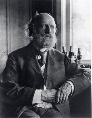 Goebel, Karl Immanuel Eberhard von