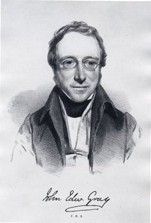 Gray, John Edward