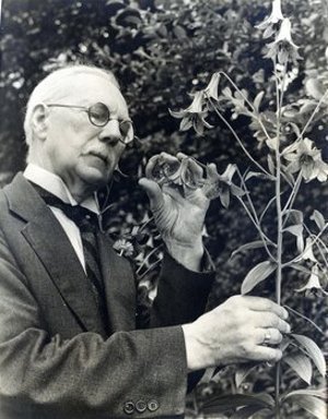 Harned, Joseph Edward