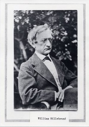 Hillebrand, Wilhelm