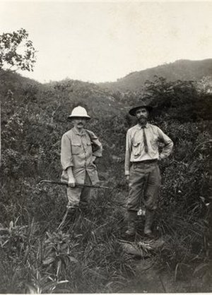 Hitchcock, Albert Spear