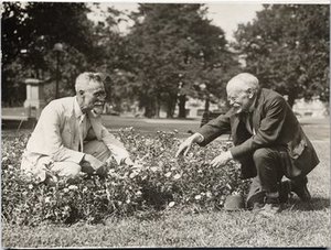 Hitchcock, Albert Spear