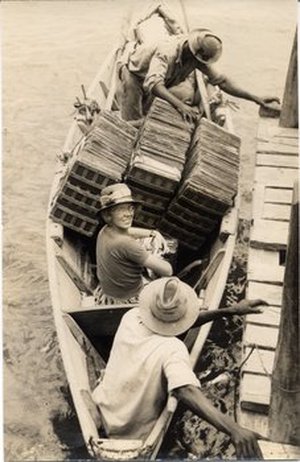 Hodge, Barbara Taylor