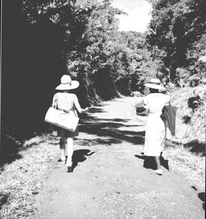 Hodge, Barbara Taylor