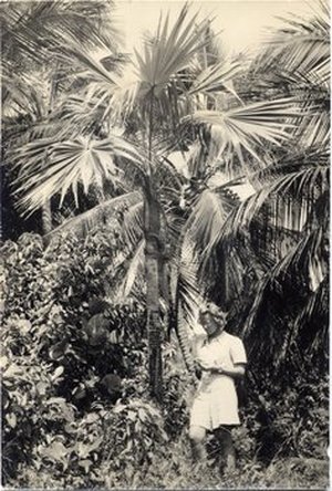 Hodge, Barbara Taylor