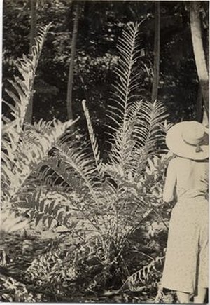 Hodge, Barbara Taylor