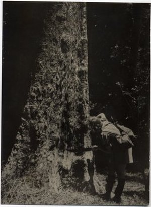 Hodge, Barbara Taylor