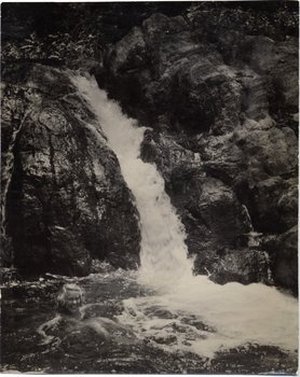 Hodge, Barbara Taylor