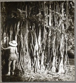 Hodge, Barbara Taylor