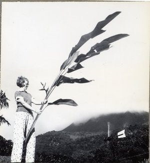 Hodge, Barbara Taylor