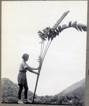 Hodge, Barbara Taylor