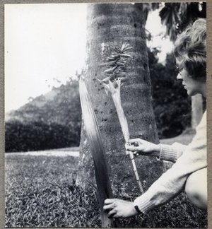 Hodge, Barbara Taylor