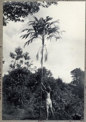 Hodge, Barbara Taylor