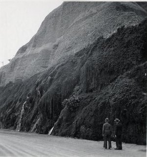 Hodge, Barbara Taylor