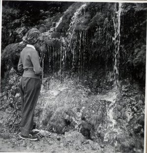 Hodge, Barbara Taylor