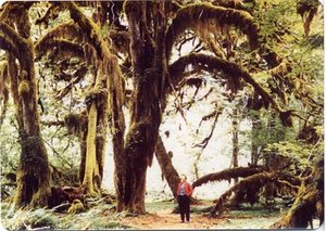 Hodge, Barbara Taylor