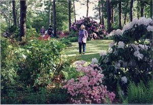 Hodge, Barbara Taylor