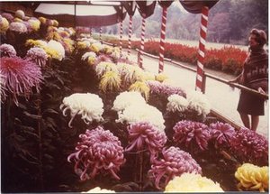 Hodge, Barbara Taylor