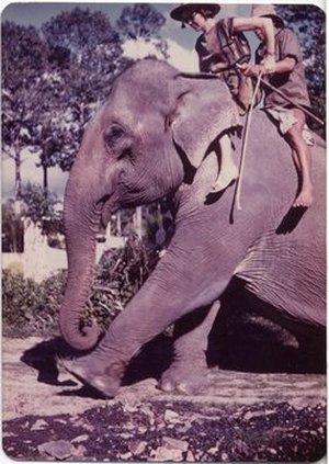 Hodge, Barbara Taylor