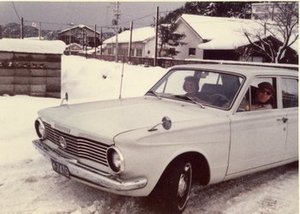 Hodge, Walter Henricks