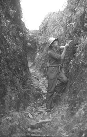 Hodge, Walter Henricks