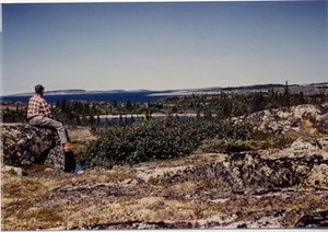 Hodge, Walter Henricks